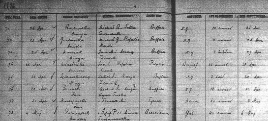 1896 Jan Maciejewski St  Stan death record