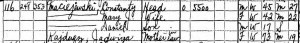 1930 Constanty Mary Maciejewski census cropped