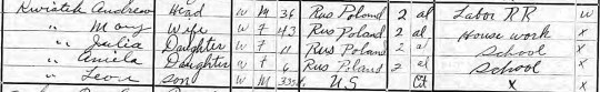 1915 Kwiatek NY census cropped