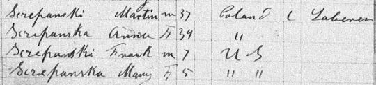 1892 Szepanski Buffalo NYS Census cropped
