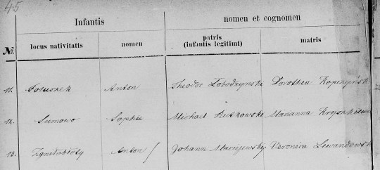 1883 Anton Maciejewski baptism name