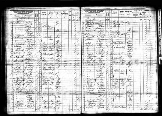 1883 Hamburg Passenger List