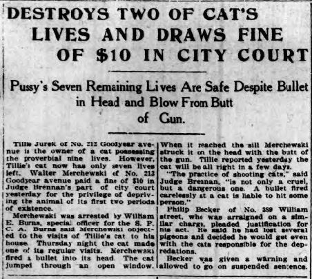 1915 Tilli Jurek cat