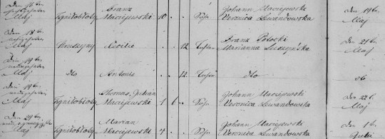 1882 Maciejewski deaths