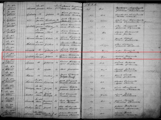 1876 Jan Maciejewski birth marked