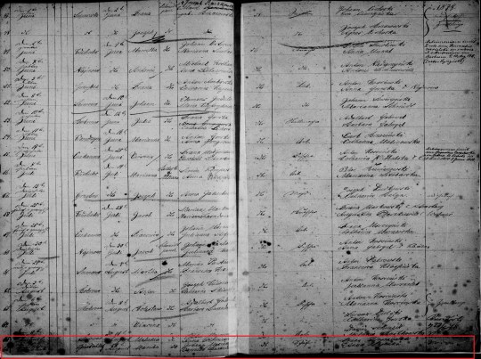 1878 Marian Maciejewski birth marked