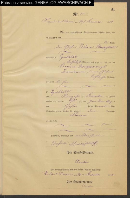 1880 Thomas Maciejewski 69_1246_0_2_1_1019